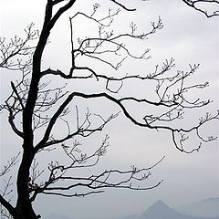 photo "A view to "Sestra" mountain"