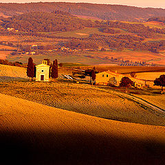 photo "Evening in Tuscany"