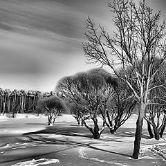 photo "light&shadow"