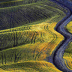 фото "Fields in the Crete (Tuscany)"