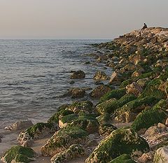 фото "Вечерние размышления"