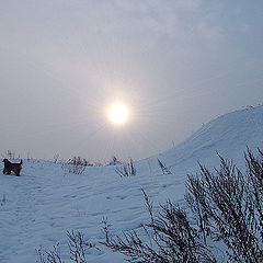 photo "The krylatskoe hills"