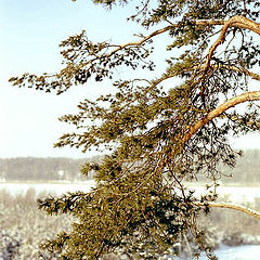 photo "Winter view 2"