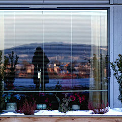 photo "selfportait in the window"