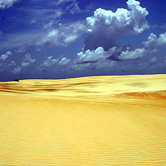 фото "Natal, Brasil"