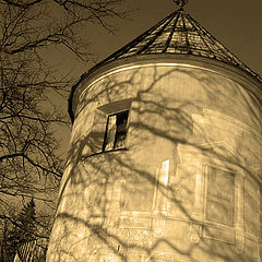 photo "Old tower in Pavlovsk park"