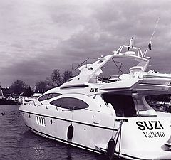фото "Suzi"