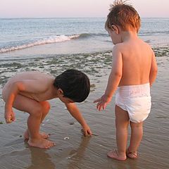 photo "Friends"