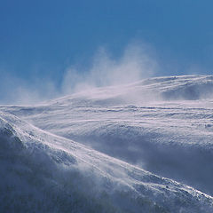 фото "Snow skyes"