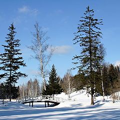 photo "Etudes from Abramtsevo-1"