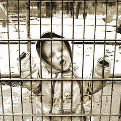 фото "Let me out"