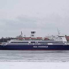 фото "#-06"