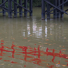 photo "Red bridge in Chineeze Garden"
