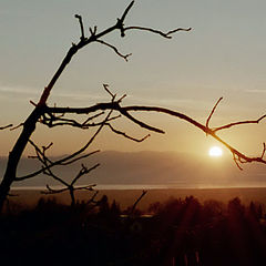 photo "Soft "good bye" to the day"