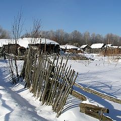 фото "Деревенская #2"