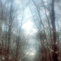 photo "Winter etude 1. Monocle."
