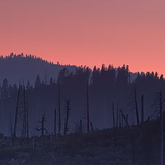 photo "Last light"