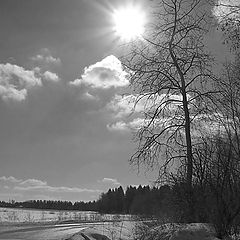 фото "Видение весны"