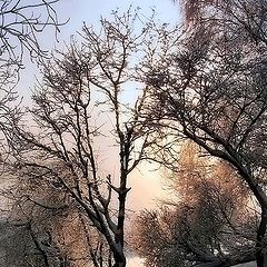 фото "Застывшие краски."