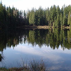 фото "Simply lake"