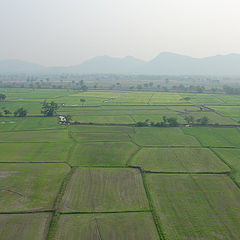 фото "green field"