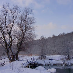 photo "The bridge"