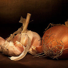 photo "Still-life with garlic and onions"