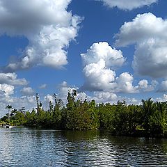 photo "Downstream on river in the line of sea"