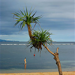 photo "Beach 2"