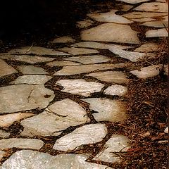 photo "Empty Road"