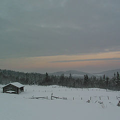 photo "winter evening"