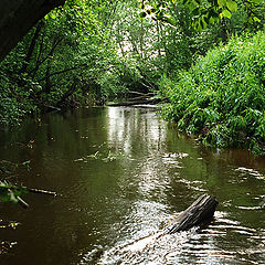 photo "Dobreya river"