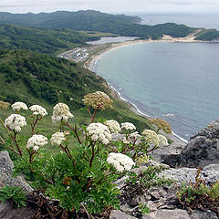 photo "A View to Shepalovo Beach"