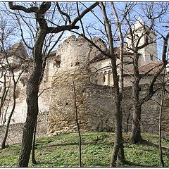 photo "Burg Liechtenstein"