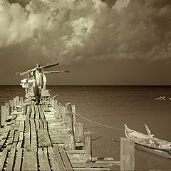photo "way home"