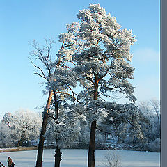 фото "Зимняя сказка"