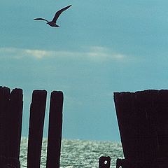 photo "sea gate"