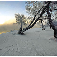 фото "Японская"