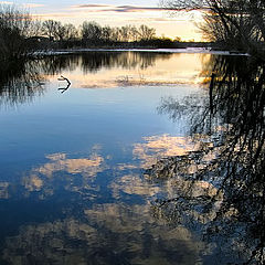 photo "Vernal paints."