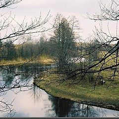 фото "pale spring landscape"