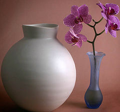 photo "Still Life with Orchids"