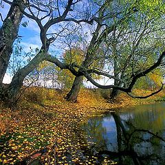 фото "Осень."