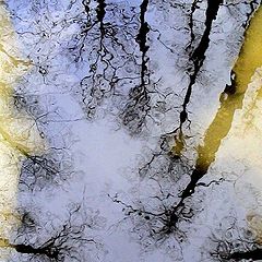 photo "self-portrait in the river"