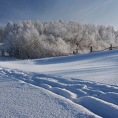 photo "Winter"