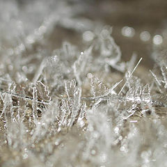 photo "Ice."