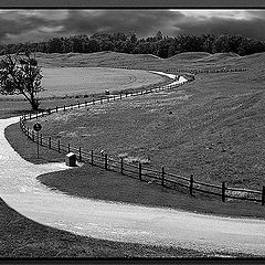 photo "Gamla Uppsala"