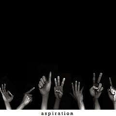 фото "aspiration"