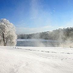 photo "winter haze"