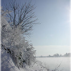 фото "Берег"