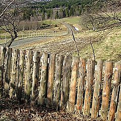 фото "Pictures  from aalesund"
